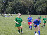 Click to see P9160011.JPG